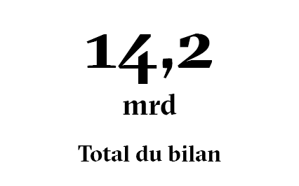 Total du bilan