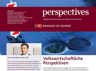 CIC perspectives 02/15