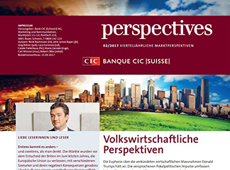 CIC perspectives 02/17