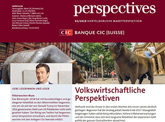CIC perspectives 02/18