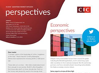 CIC perspectives 01/19