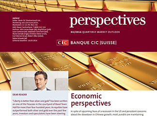 CIC perspectives 02/16