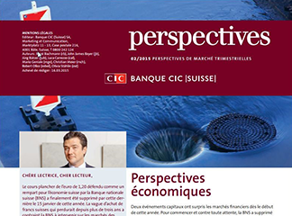 CIC perspectives 02/15