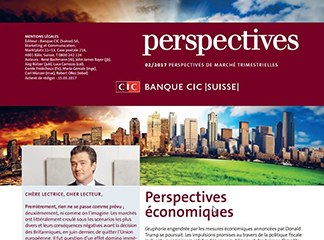 CIC perspectives 02/17