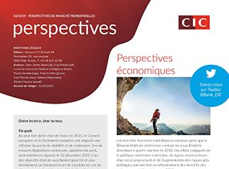 CIC perspectives 02/19