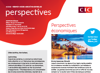 cic-perspectives-02-20-fr